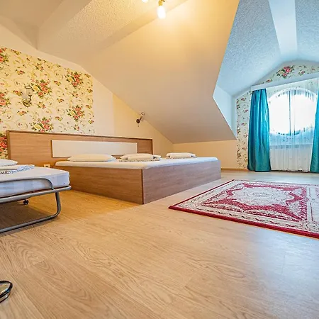 Pension Onix Vienna Airport * Maria Ellend