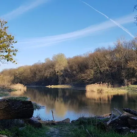 Pension Onix Vienna Airport Hotel *