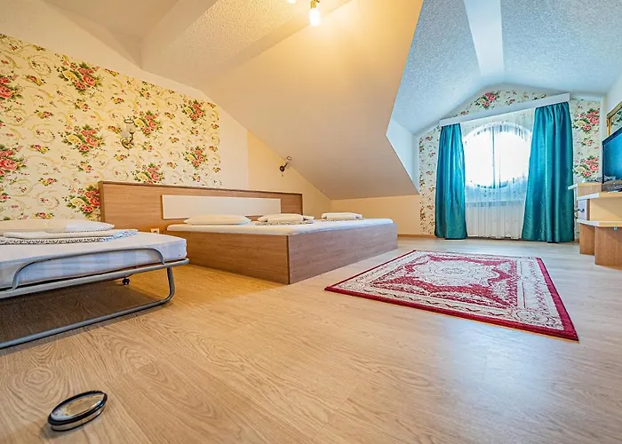 Pension Onix Vienna Airport * Maria Ellend