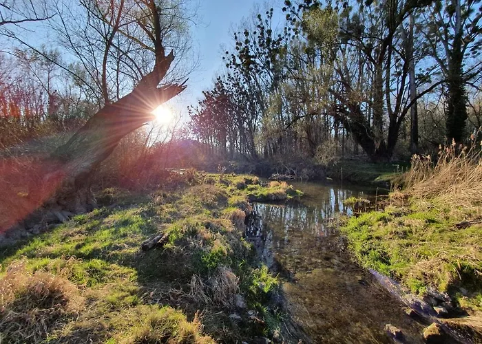 ホテル Pension Onix Vienna Airport *