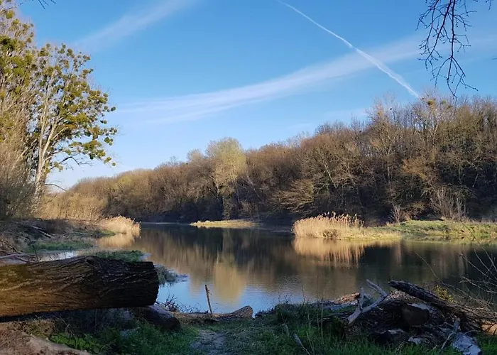 Pension Onix Vienna Airport ホテル *