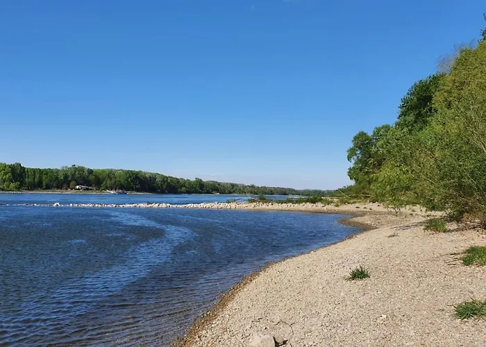 Pension Onix Vienna Airport ホテル *