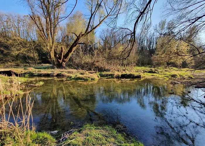 Pension Onix Vienna Airport Maria Ellend